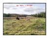 Picture of BACON-NITRATE FREE - Ethical, Organic, Pasture-raised / 600g (approx size)